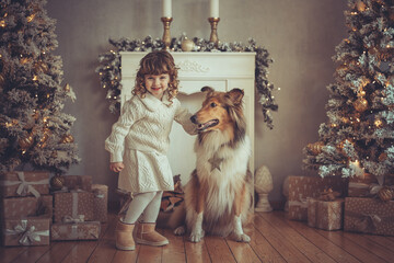 H&uuml;bsches kleines M&auml;dchen mit Locken steht mit ihrem rough Collie  sable vor dem Weihnachtsbaum zu Weihnachten, Abendstimmung mit Lichtern Var. 8