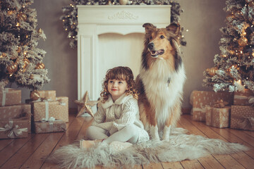 H&uuml;bsches kleines M&auml;dchen mit Locken sitzt mit ihrem rough Collie  sable vor dem Weihnachtsbaum zu Weihnachten, Abendstimmung mit Lichtern Var. 15