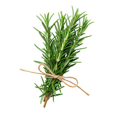 Fototapeta premium Fresh, vibrant, dewy rosemary sprigs, deep green, tied with jute twine, on a transparent background with copy space, top-down studio shot, high-key light, concept of culinary freshness and purity