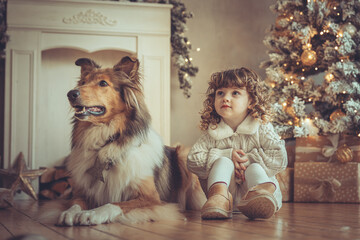 H&uuml;bsches kleines M&auml;dchen mit Locken sitzt mit ihrem rough Collie  sable vor dem Weihnachtsbaum zu Weihnachten, Abendstimmung mit Lichtern Var. 14