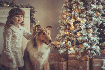 H&uuml;bsches kleines M&auml;dchen mit Locken steht mit ihrem rough Collie  sable vor dem Weihnachtsbaum zu Weihnachten, Abendstimmung mit Lichtern Var. 5