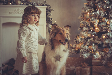 H&uuml;bsches kleines M&auml;dchen mit Locken steht mit ihrem rough Collie  sable vor dem Weihnachtsbaum zu Weihnachten, Abendstimmung mit Lichtern Var. 4