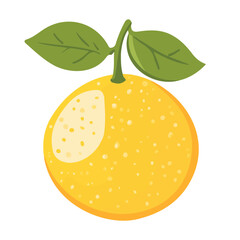 Yuzu in a clean 2D flat vector icon style, minimal and simple, set on a plain white background.