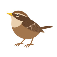 Modern flat 2D vector illustration of Wren, clean and minimal design, isolated on white background.