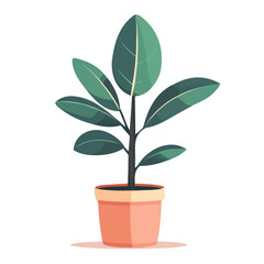 2D flat vector illustration of Rubber Plant, clean and minimal icon style, isolated on white background.