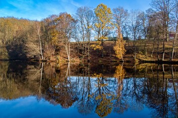 autumn nature in bohemian forest cesky les in czechia