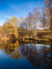 autumn nature in bohemian forest cesky les in czechia