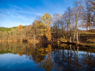 autumn nature in bohemian forest cesky les in czechia