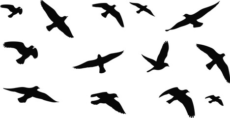 Large Vector Collection of Black Bird Silhouettes in Flight, Featuring Eagles, Hawks, or Falcons, Symbolizing Freedom, Nature, Power, and Predation
