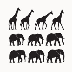 Silhouette animal in nature white background