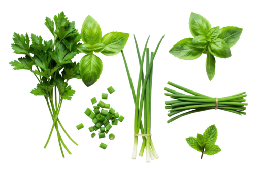 Fresh green flat-leaf parsley, basil, chives, and a mint leaf neatly arranged on a transparent background with copy space, showcasing natural purity and healthy ingredients concept