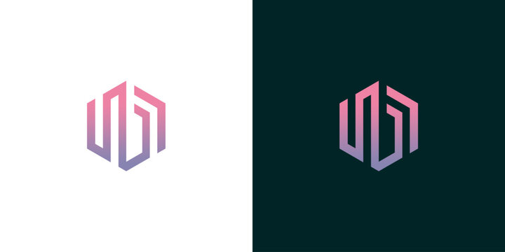 Abstract geometric hexagon logo concept featuring intertwined letter initials, created with a clean line art style and a vibrant color gradient