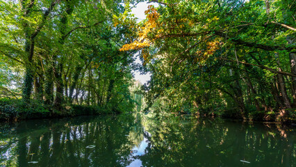 Wunderschöne Natur im Elster-Pleiße-Auwald beim Kajak fahren auf der Pleiße in Leipzig