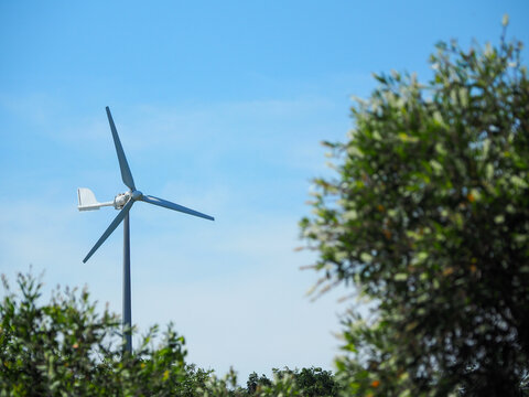 Small wind turbine above green shrubbery on clear blue sky with calm atmosphere and renewable energy vibe