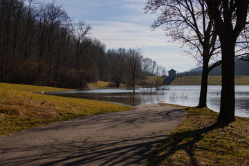 Serene Landscape with a Lakeside Path Through Leafless Trees