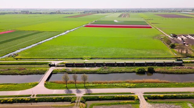Aerial views capture a classic steam train traveling through vibrant Dutch farmlands, tulip fields, and canals, highlighting movement, vivid colors, and the rural spring landscape.