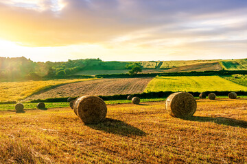 beautiful rustic landscape of scenic evening sunset in agricultural field with yellow hay stacks, golden grass, green trees and amazing cloudy sky on background