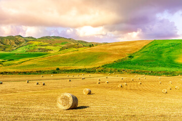 Golden summer season filed in rural meadow during beautiful sunset or sunrise with amazing cloudy sky on background. Agricultural landscape in evening meadow with yellow hay stacks.