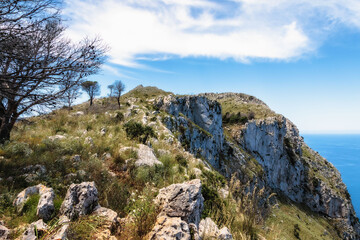 Sizilianische Sommerlandschaft im Süden von Europa in Italien