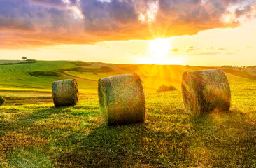 summer yellow agricultural field with golden hay stacks and beautiful farm rows of grass and scenic colorful cloudy sunset sky above rural farmland