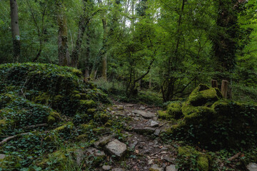Sommerlandschaft im Saarland