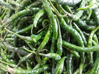 A vibrant pile of fresh, curly green chilies, a type of Capsicum annuum. These fiery peppers are essential in Indonesian cuisine, promising a spicy kick to any dish. 