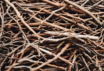 Rustic Twigs detailed, close-up view of a dense, textured background made from a tangled pile of natural twigs. 