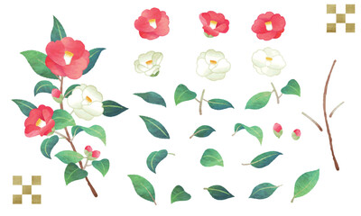 手描き水彩風　赤と白の椿　パーツのイラスト素材