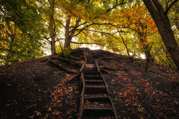 Goldener Herbstwald in Deutschland