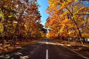 Obraz premium 屈斜路湖畔の道 秋