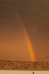 Naklejka premium Arc en ciel