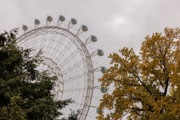 Enjoying a cloudy day at the amusement park with a towering ferris wheel and vibrant autumn trees