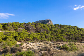 Naturschutzgebiet in den Dünen von Cala Mesquida, Mallorca, Spanien