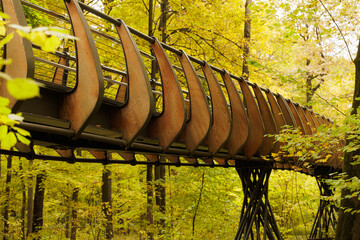 Exploring the beautiful tree-top walk during autumn leaves in a tranquil forest path