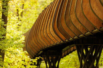 Curved wooden structure flows through vibrant green forest in serene autumn light