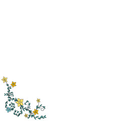 Obraz premium Delicate yellow wildflowers with green leaves isolated on transparent background