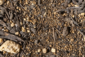 プランター栽培用の肥沃な土のテクスチャ