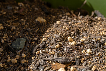 ガーデニング用の培養土と腐葉土のクローズアップ
