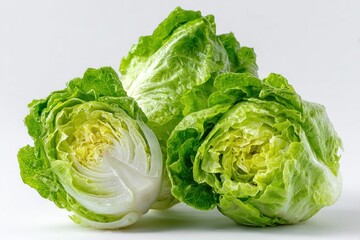 Fototapeta premium Organic Green Lettuce Isolated on White Background for Food Presentation