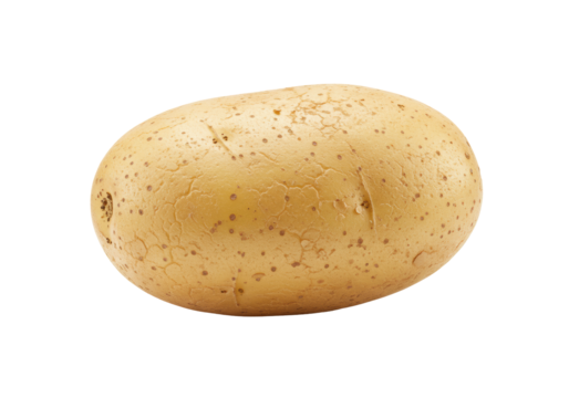A single raw unpeeled light brown potato with rugged textured skin and dark specks, set against a pristine transparent background with copy space, bright even studio light, concept of fresh natural