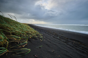 Windy beach at Iceland