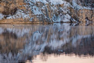 Fototapete bei efototapeten.de bestellen   