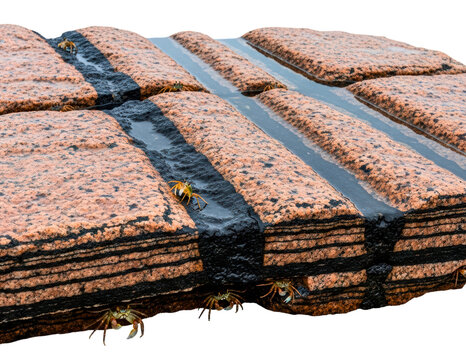 Layered sedimentary rock formation with crabs hiding in crevices isolated with transparent background