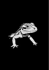 lizard on a black background