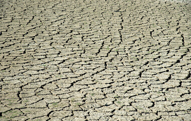 Dry cracked ground background. Top view concept of global warming. Dry land