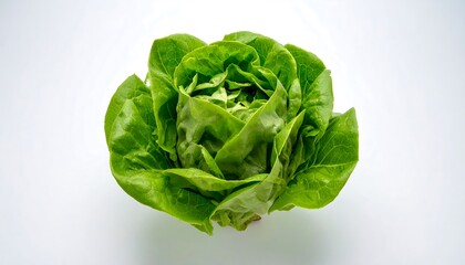 Overhead shot of a whole, fresh, green lettuce head set on a plain white background, highlighting its texture