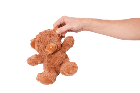 A person grasping a brown  bear, suitable for various themes and occasions