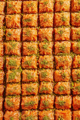 Traditional Turkish Baklava Squares Close-Up: Golden-brown dessert soaked in sweet syrup and garnished generously with bright green crushed pistachio nuts, arranged perfectly in uniform rows.