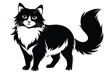 A fluffy black and white cat stands elegantly showcasing its long tail and whiskers