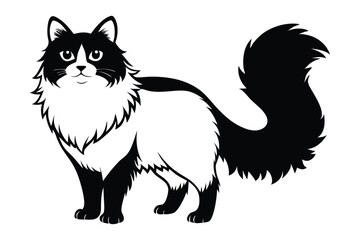 Fluffy bicolor cat gracefully stands displaying its charming white and black fur pattern